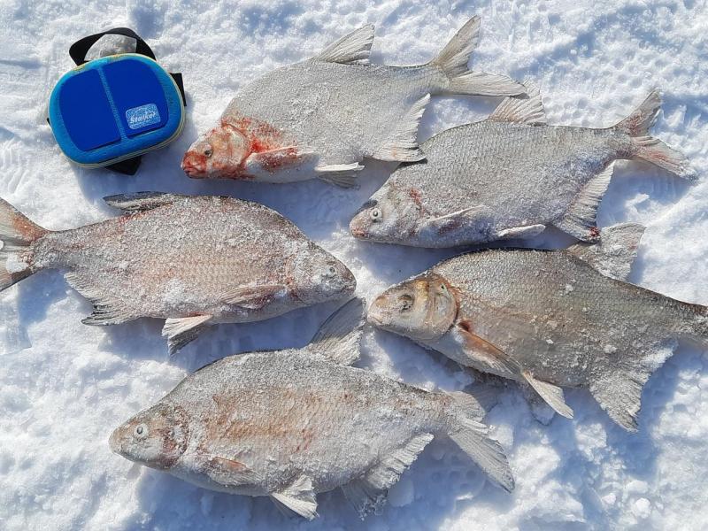 Прикрепленное изображение