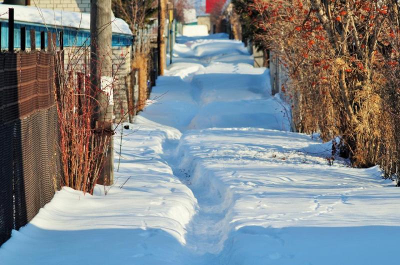 DSC_1686.jpg