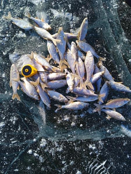 Прикрепленное изображение: IMG_20230203_154258.jpg