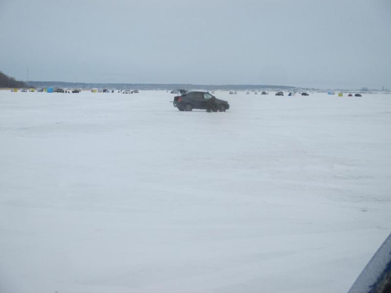 IMG_3372.JPG