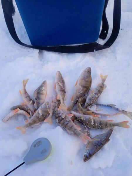 IMG_20230205_173322_1 (1) (1).jpg