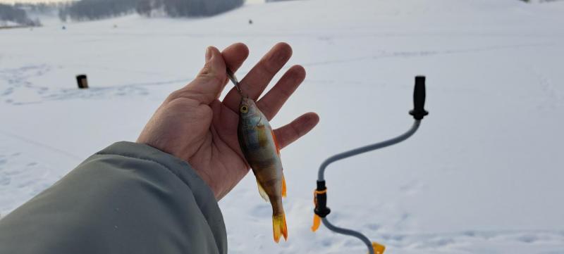 20230218_140033.jpg