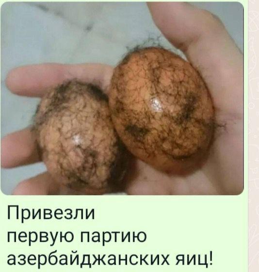 яйца.jpg