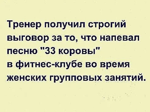 33 коровы.png