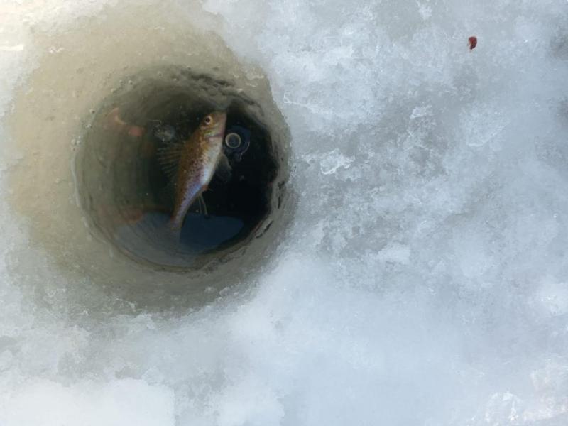 WhatsApp Image 2024-02-08 at 18.53.14.jpeg