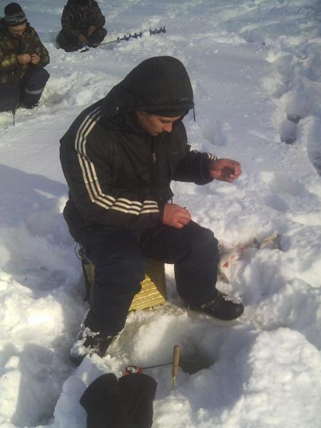 Прикрепленное изображение