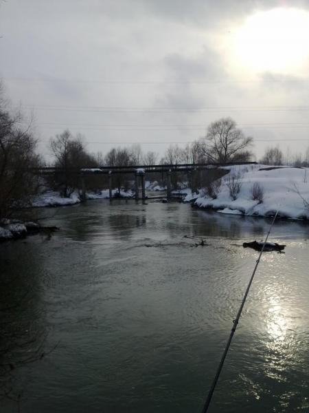 Прикрепленное изображение