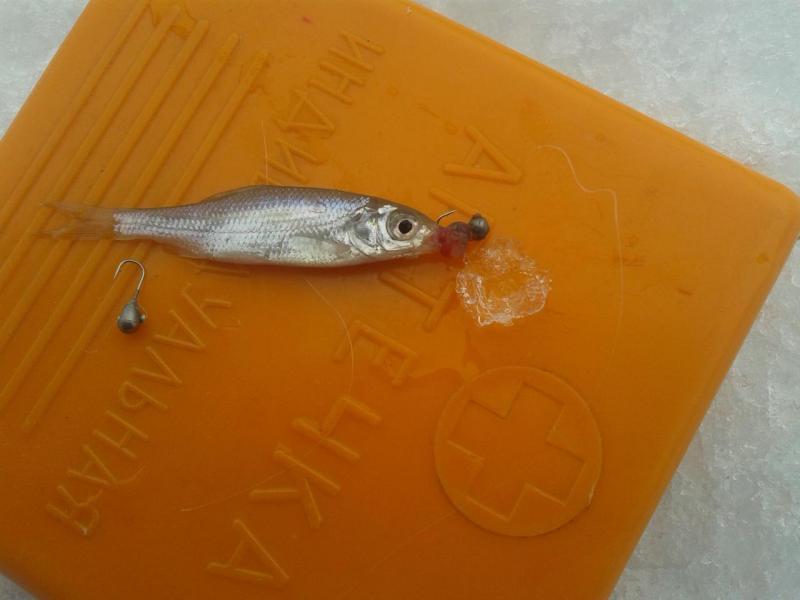 Прикрепленное изображение