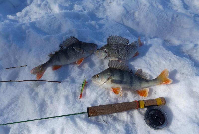 Прикрепленное изображение