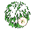 13_f_1300.gif
