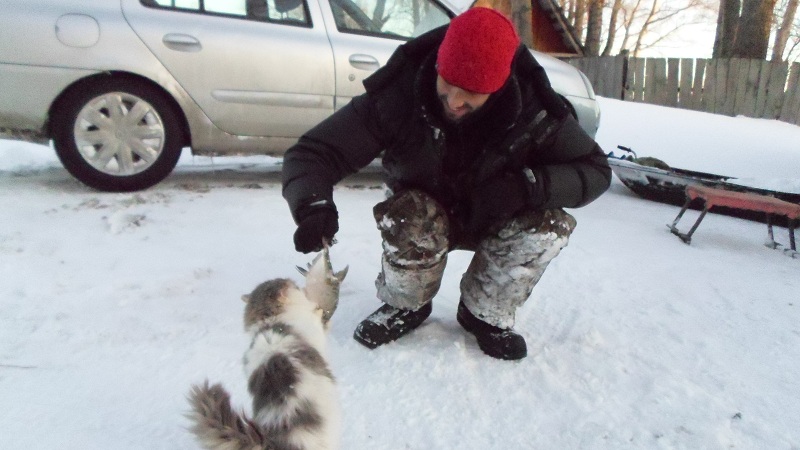 Прикрепленное изображение