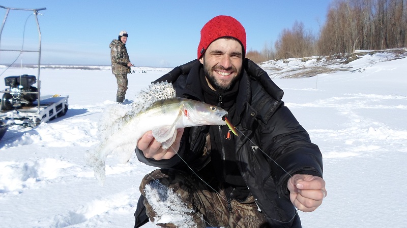Прикрепленное изображение