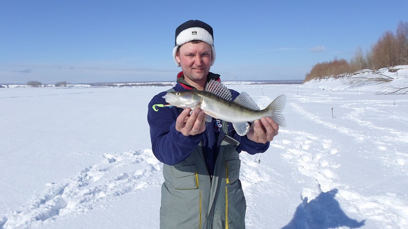 Прикрепленное изображение