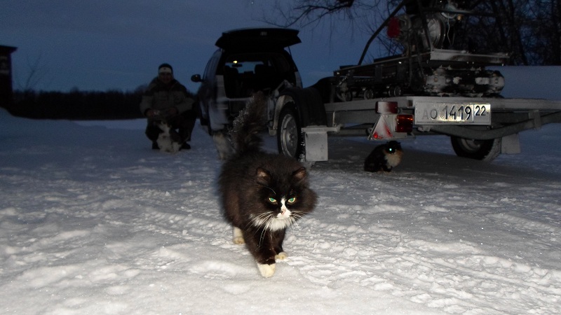 Прикрепленное изображение