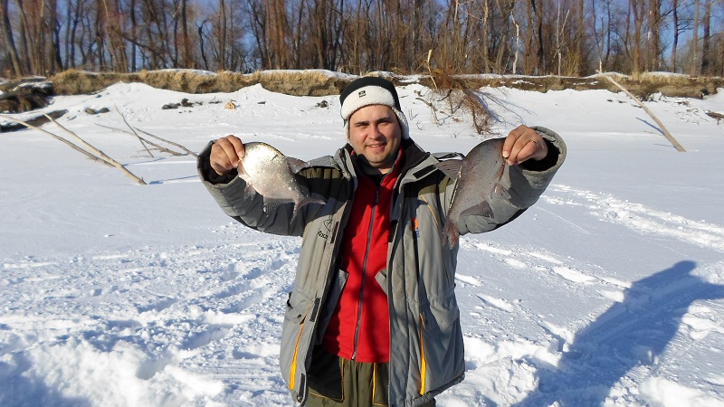 Прикрепленное изображение