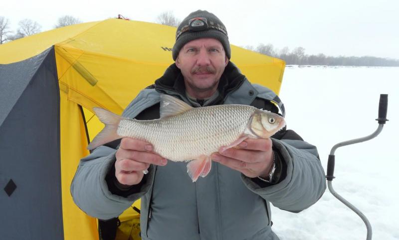 Прикрепленное изображение