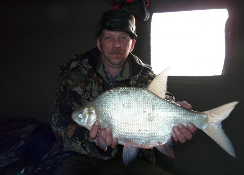 Прикрепленное изображение