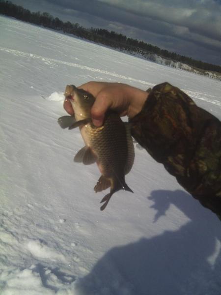 Прикрепленное изображение