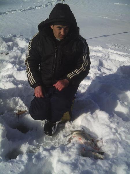 Прикрепленное изображение