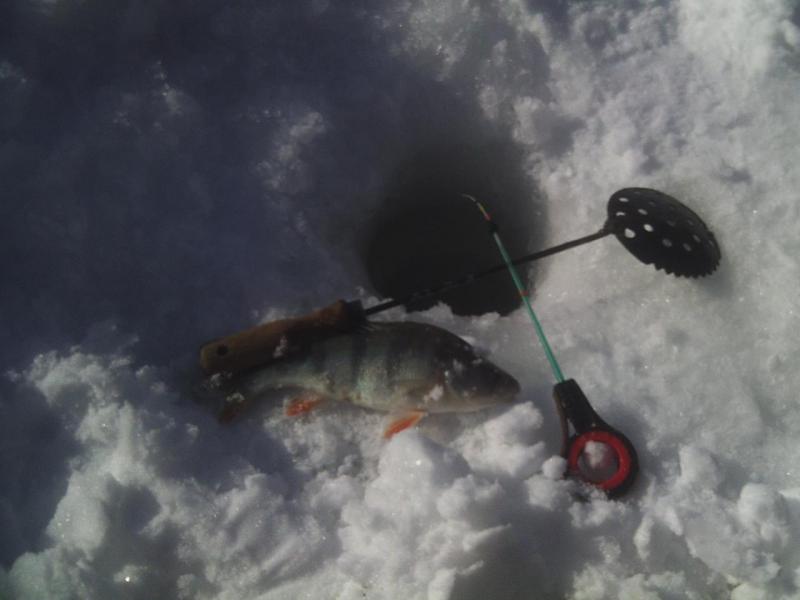 Прикрепленное изображение