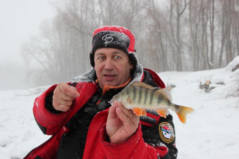 Прикрепленное изображение