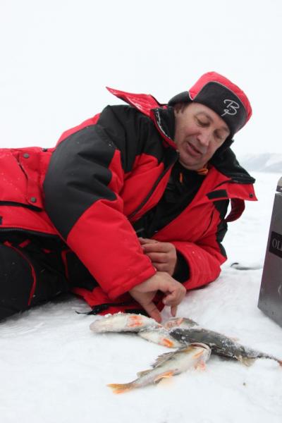 Прикрепленное изображение