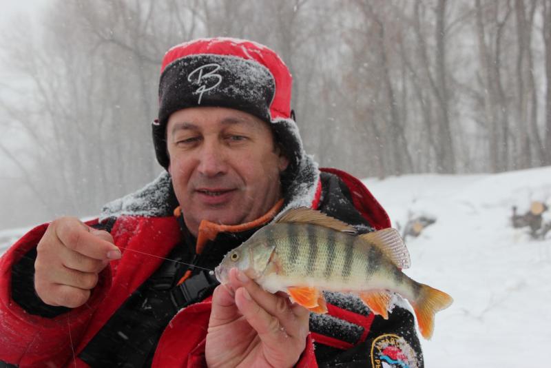 Прикрепленное изображение