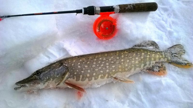 Прикрепленное изображение