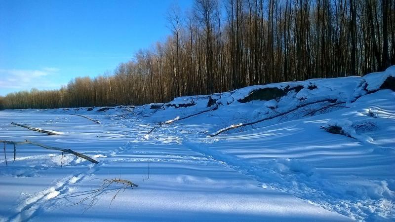 Прикрепленное изображение