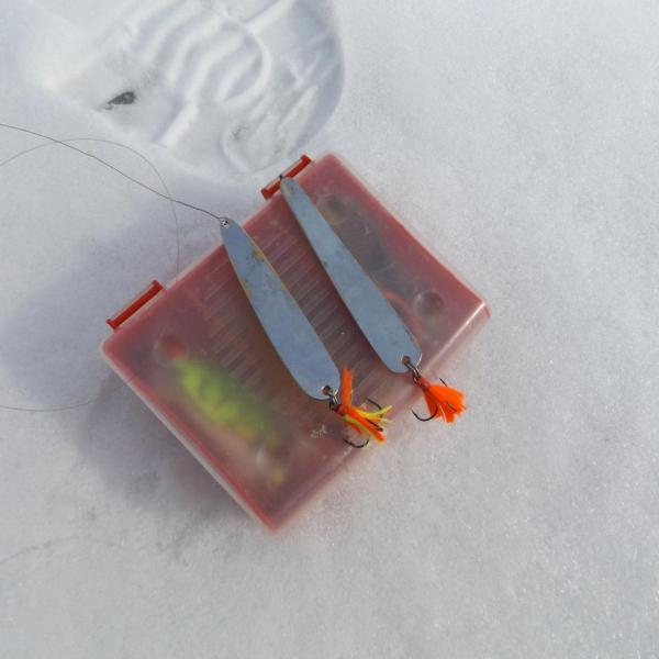 Прикрепленное изображение