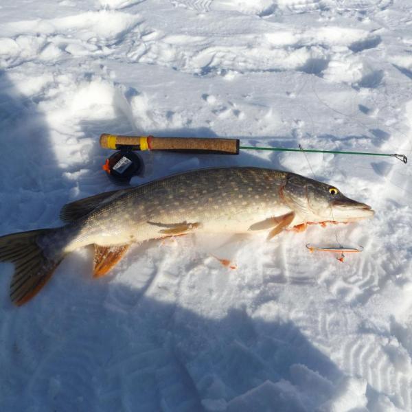 Прикрепленное изображение