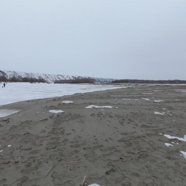 Прикрепленное изображение