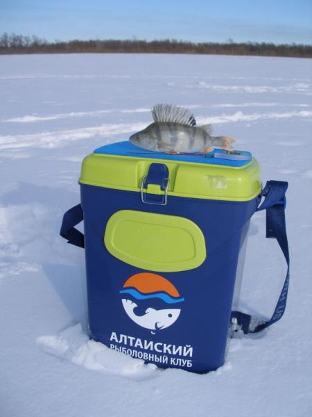 Прикрепленное изображение