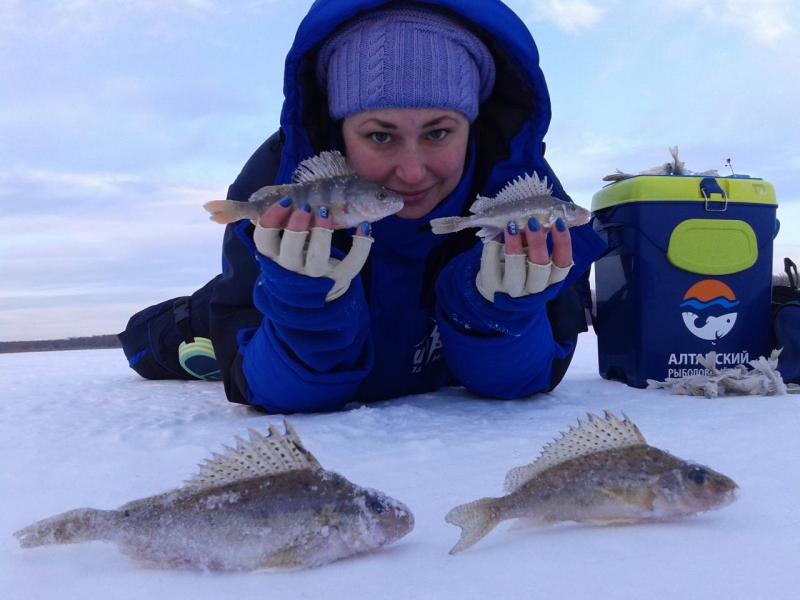 Прикрепленное изображение