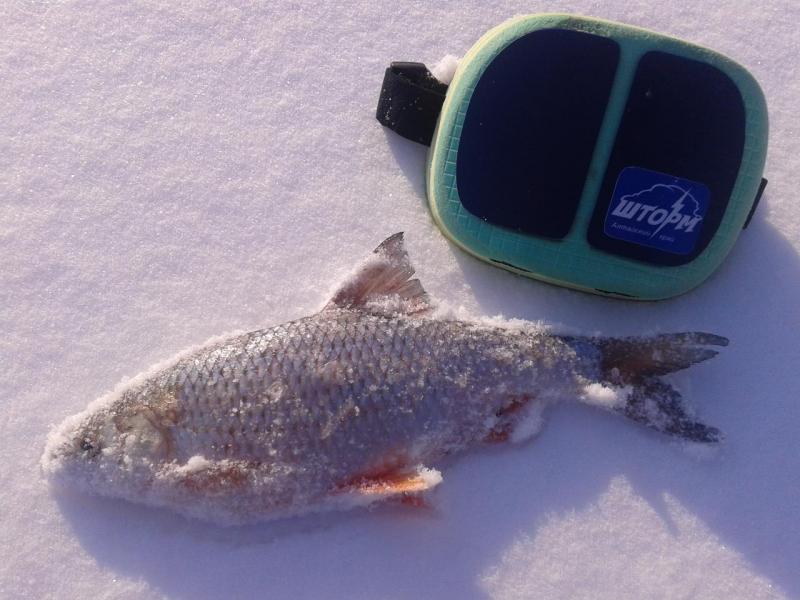 Прикрепленное изображение