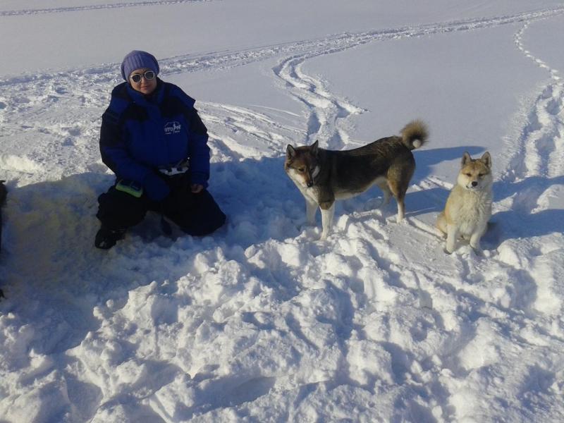 Прикрепленное изображение