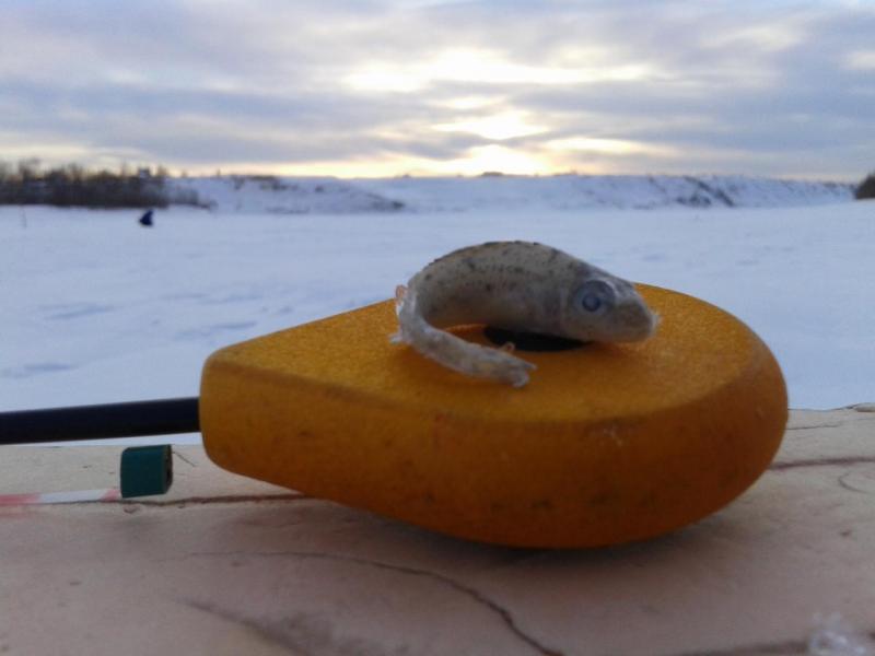 Прикрепленное изображение