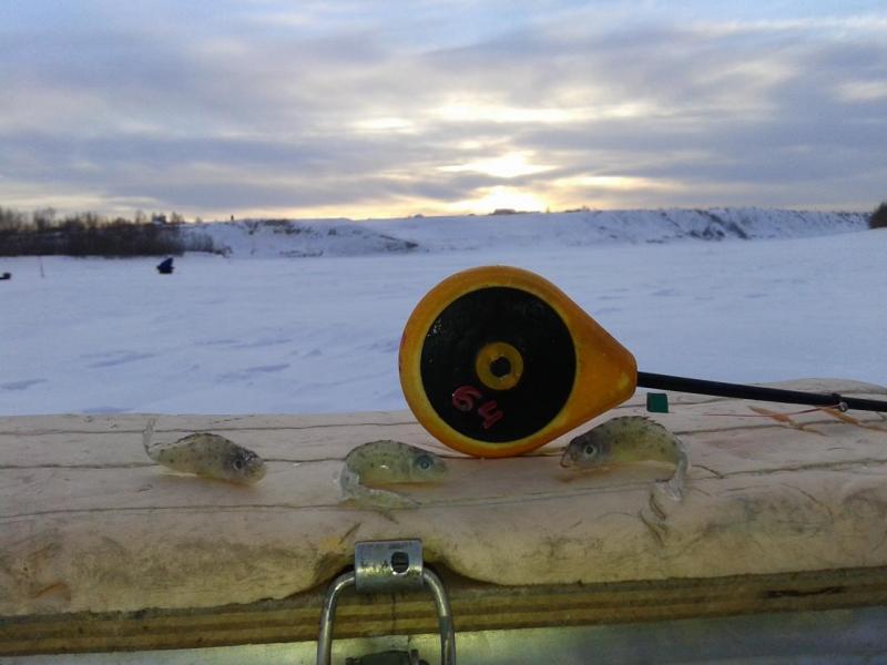 Прикрепленное изображение