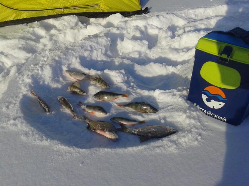 Прикрепленное изображение