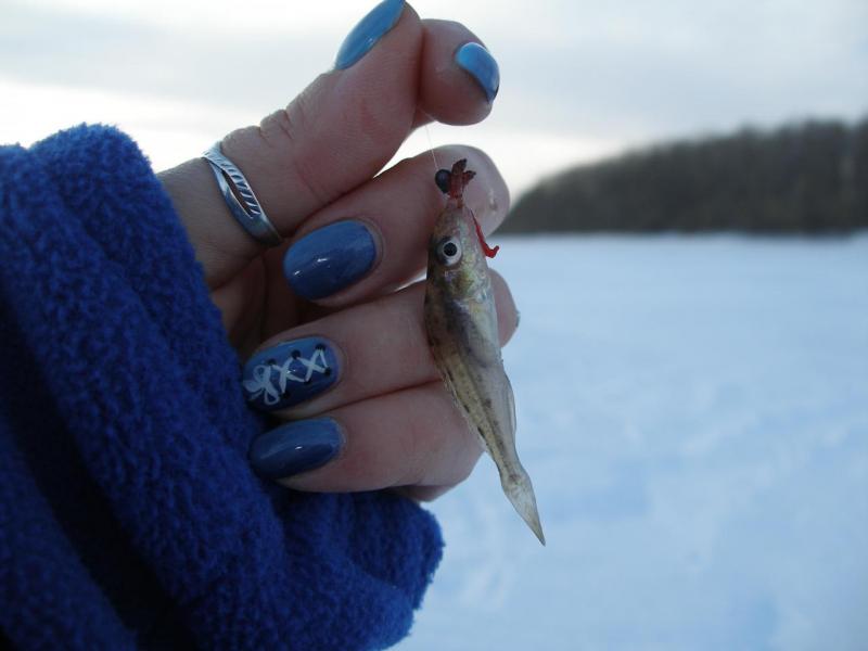 Прикрепленное изображение