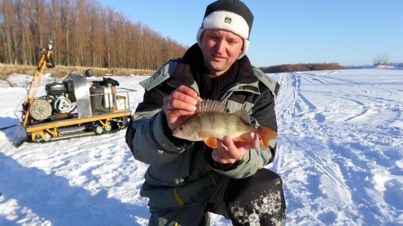 Прикрепленное изображение