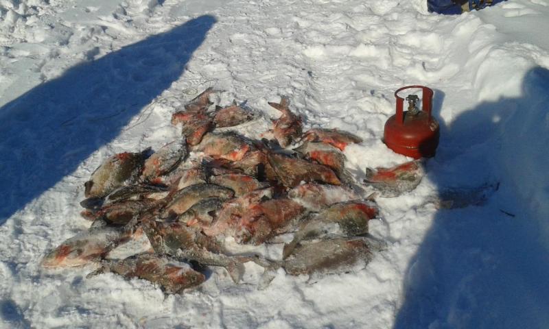 20150301_132038.jpg