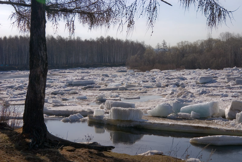 437068_69.jpg