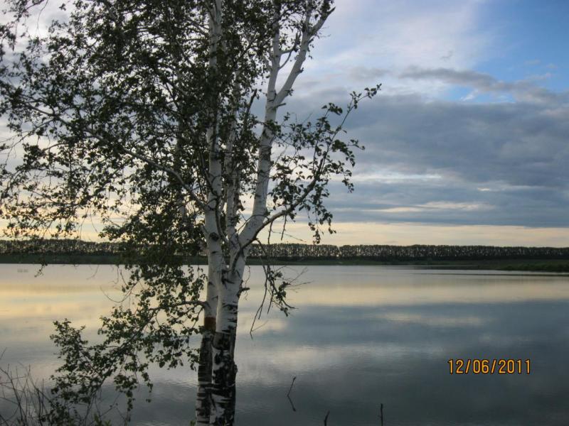 IMG_0132.jpg