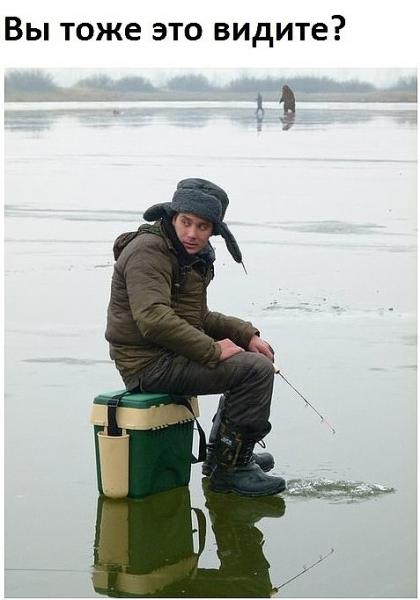 Гризли.jpg