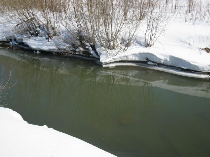 IMG_3708.jpg