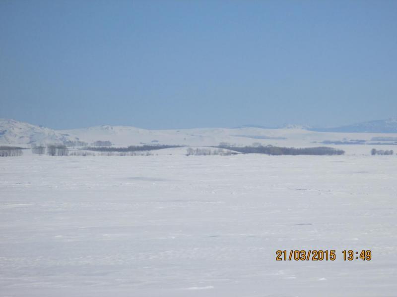 IMG_04431.JPG