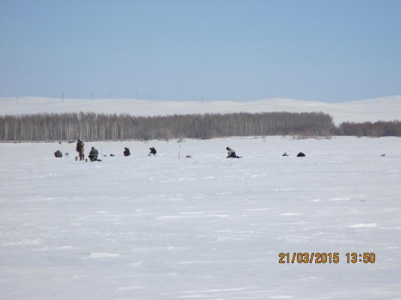 IMG_04441.JPG