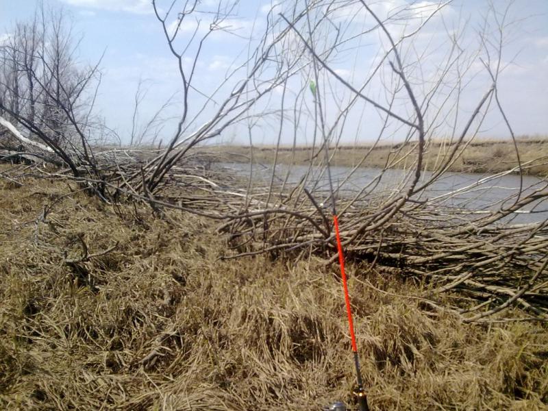 Прикрепленное изображение