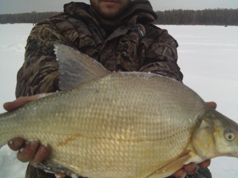 Прикрепленное изображение